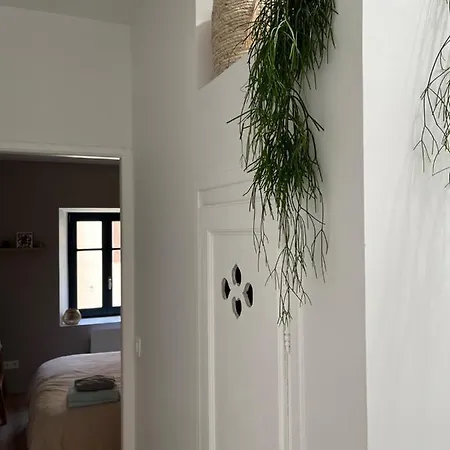 Semesterbostad Maison Petite Cote Carcassonne