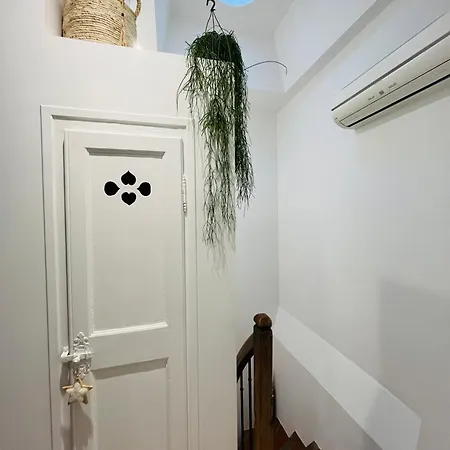 Maison Petite Cote カルカソンヌ